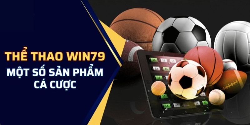 Cung cấp nhiều loại hình sport mới mẻ
